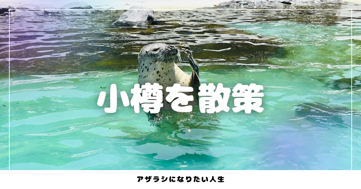 アザラシになりたい人生