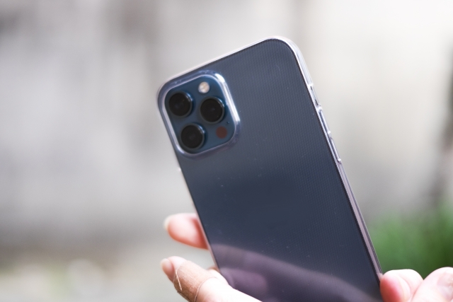 f:id:rikishikouta:20210530163917j:plain