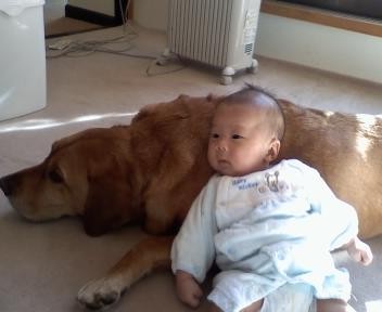 f:id:rikitarou:20090111112601j:image f:id:rikitarou:20090111112601j:image