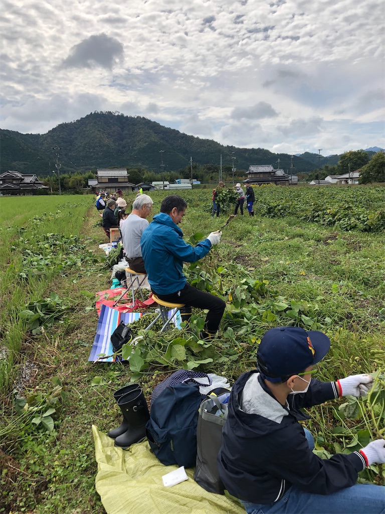 f:id:rikka-kyoto:20201021152746j:image