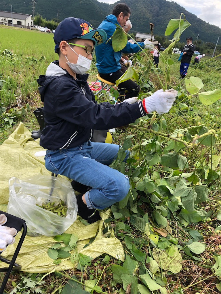 f:id:rikka-kyoto:20201021152806j:image