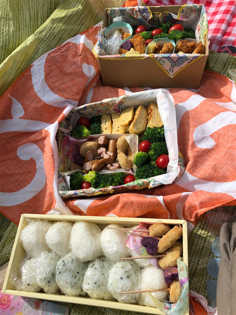 f:id:rikka-kyoto:20201021152820j:image