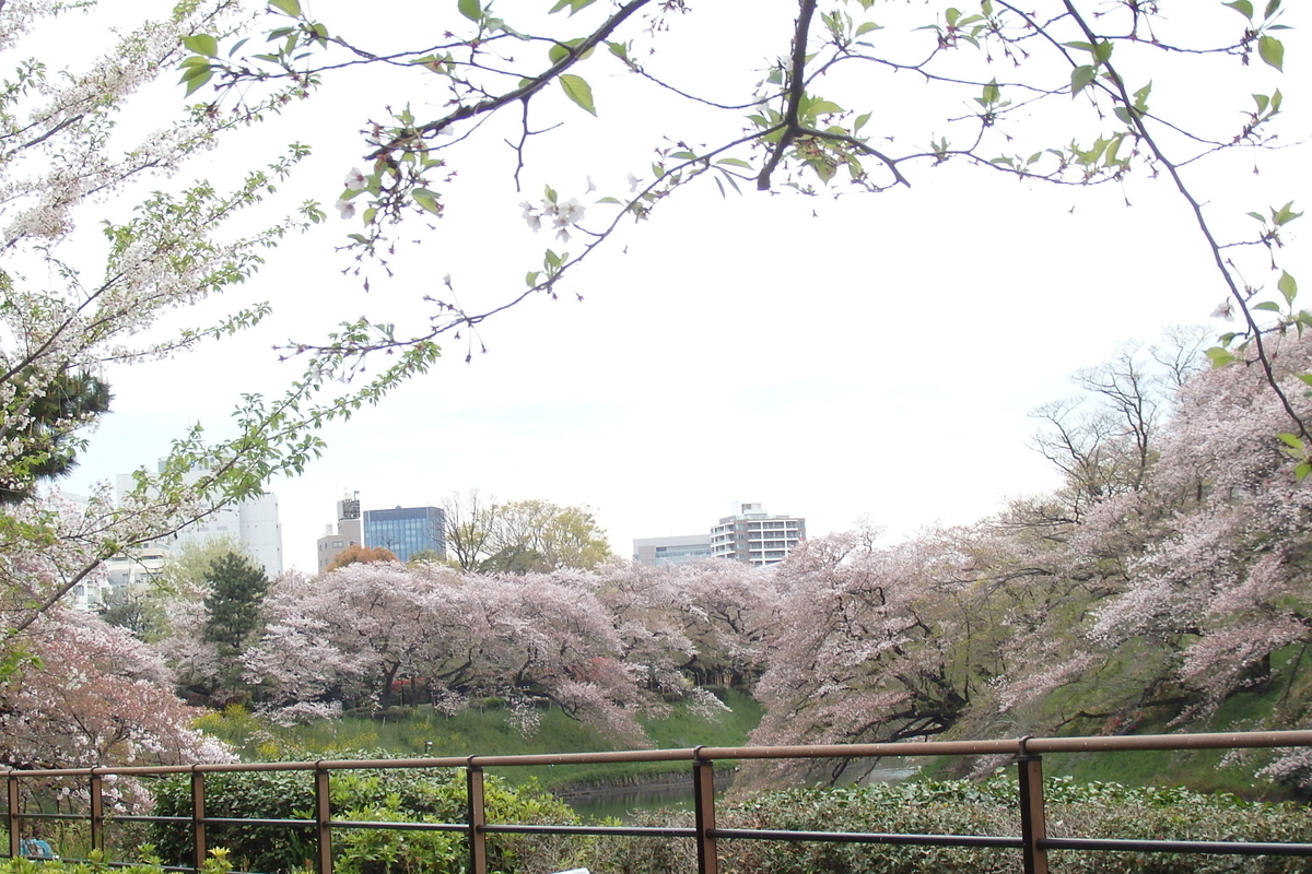 f:id:rikkachange:20190413212329j:plain