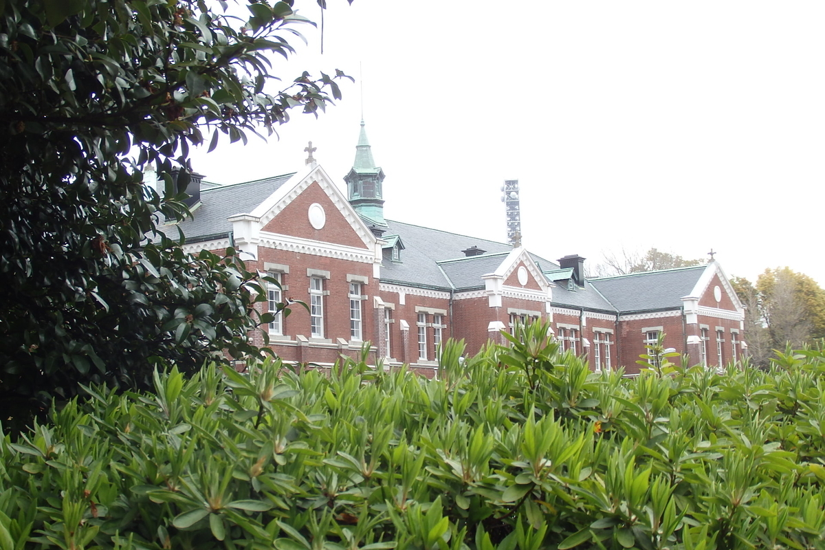 f:id:rikkachange:20190413212417j:plain