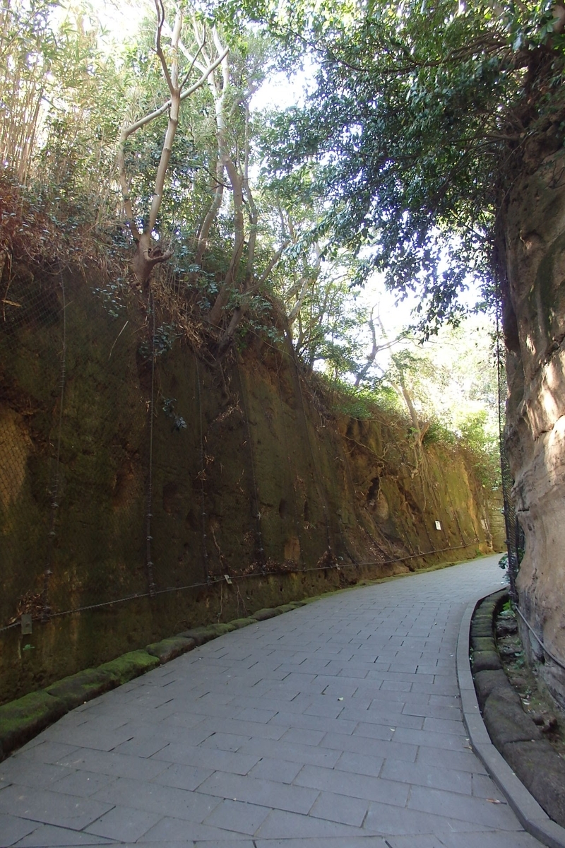 f:id:rikkachange:20190419215119j:plain