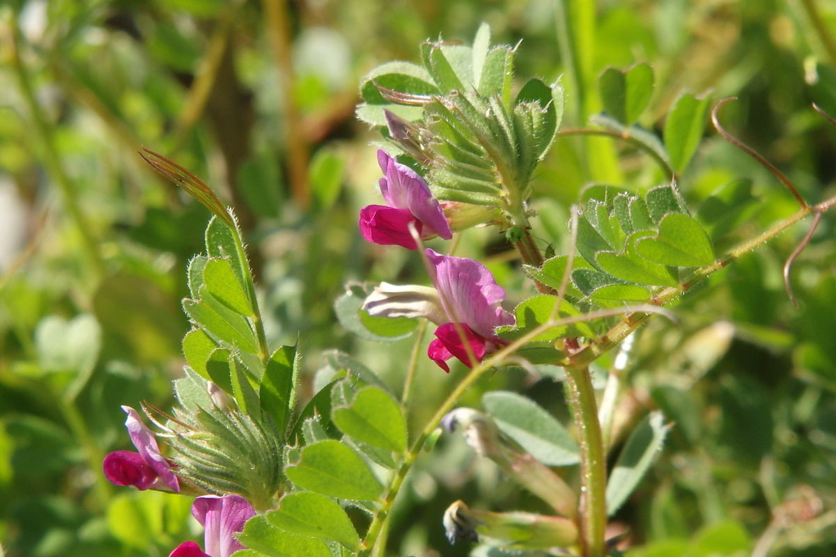 f:id:rikkachange:20190419215239j:plain