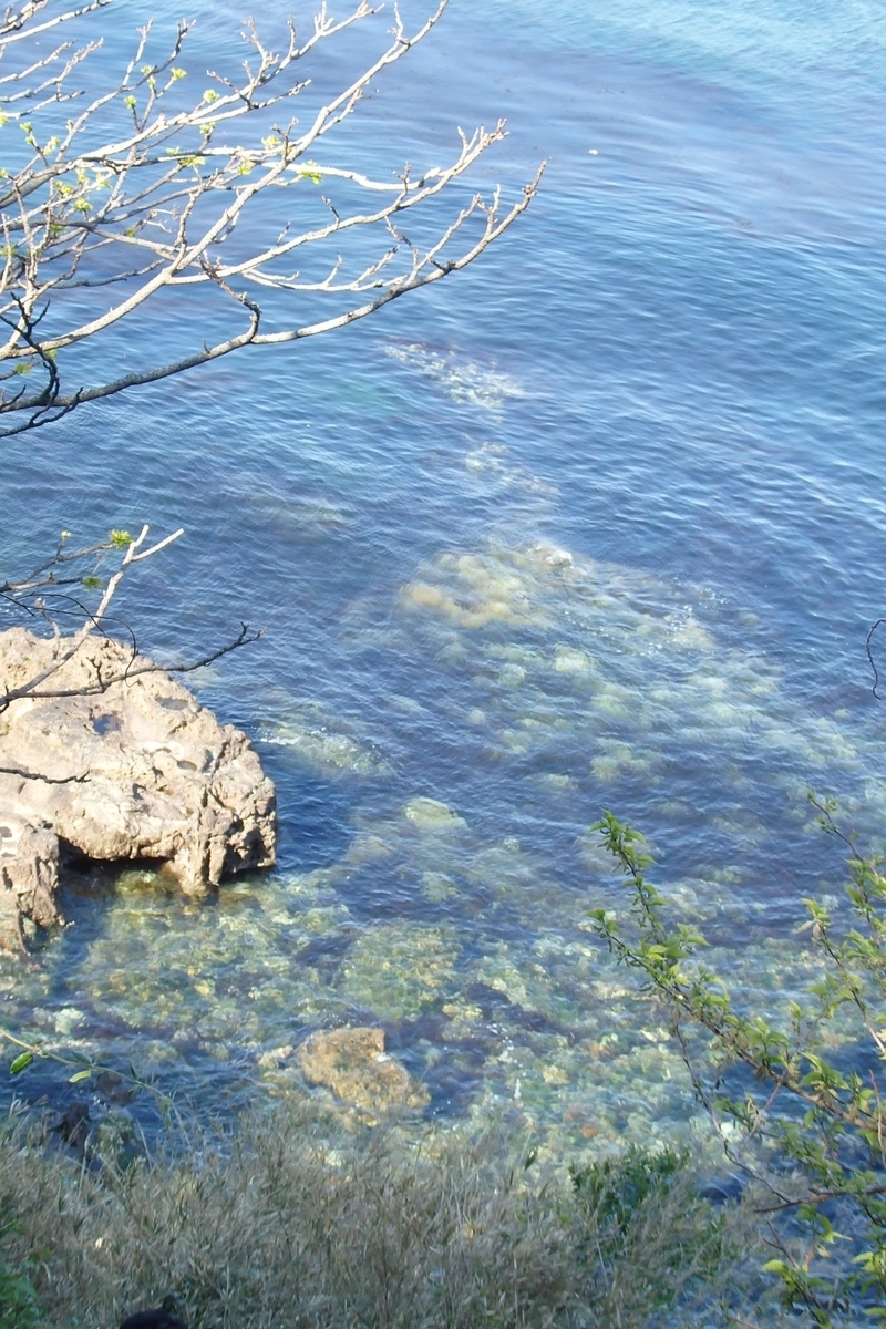 f:id:rikkachange:20190419215426j:plain