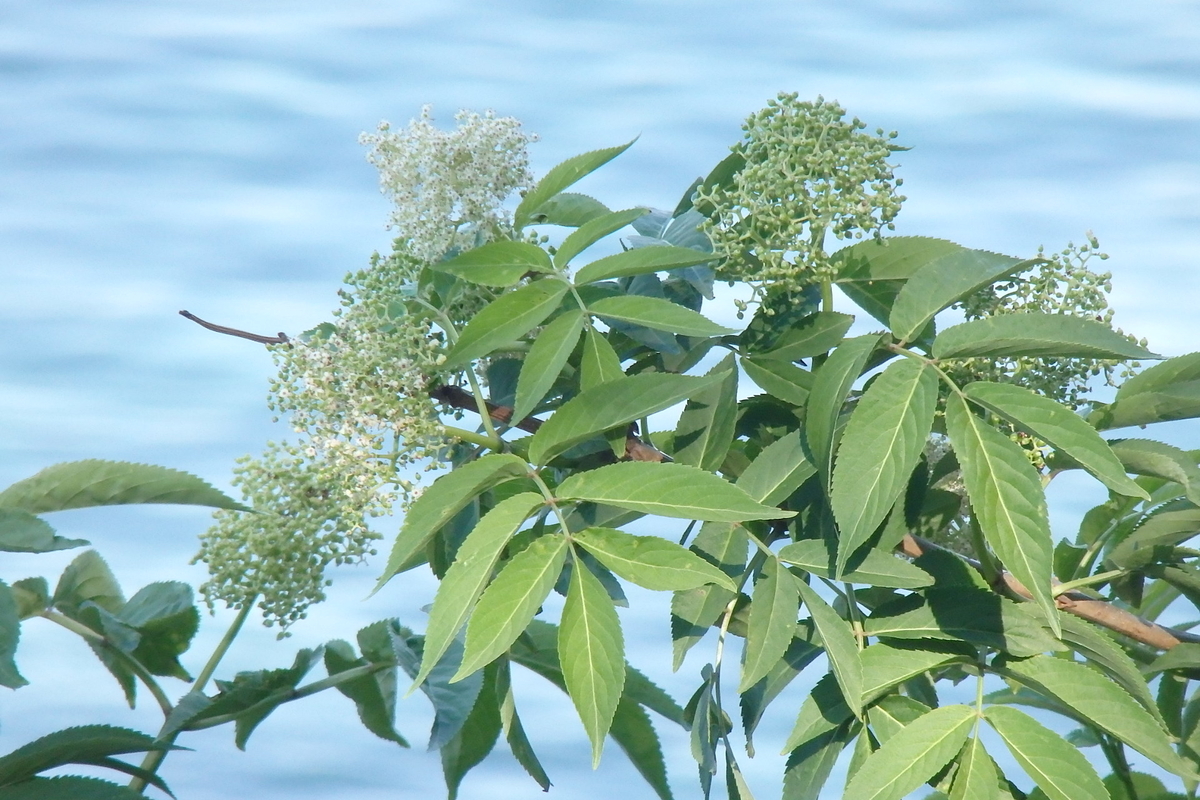 f:id:rikkachange:20190419215505j:plain