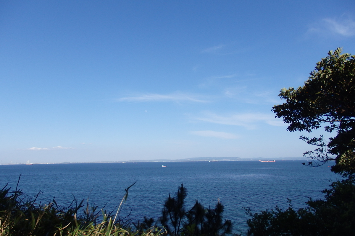 f:id:rikkachange:20190419215613j:plain