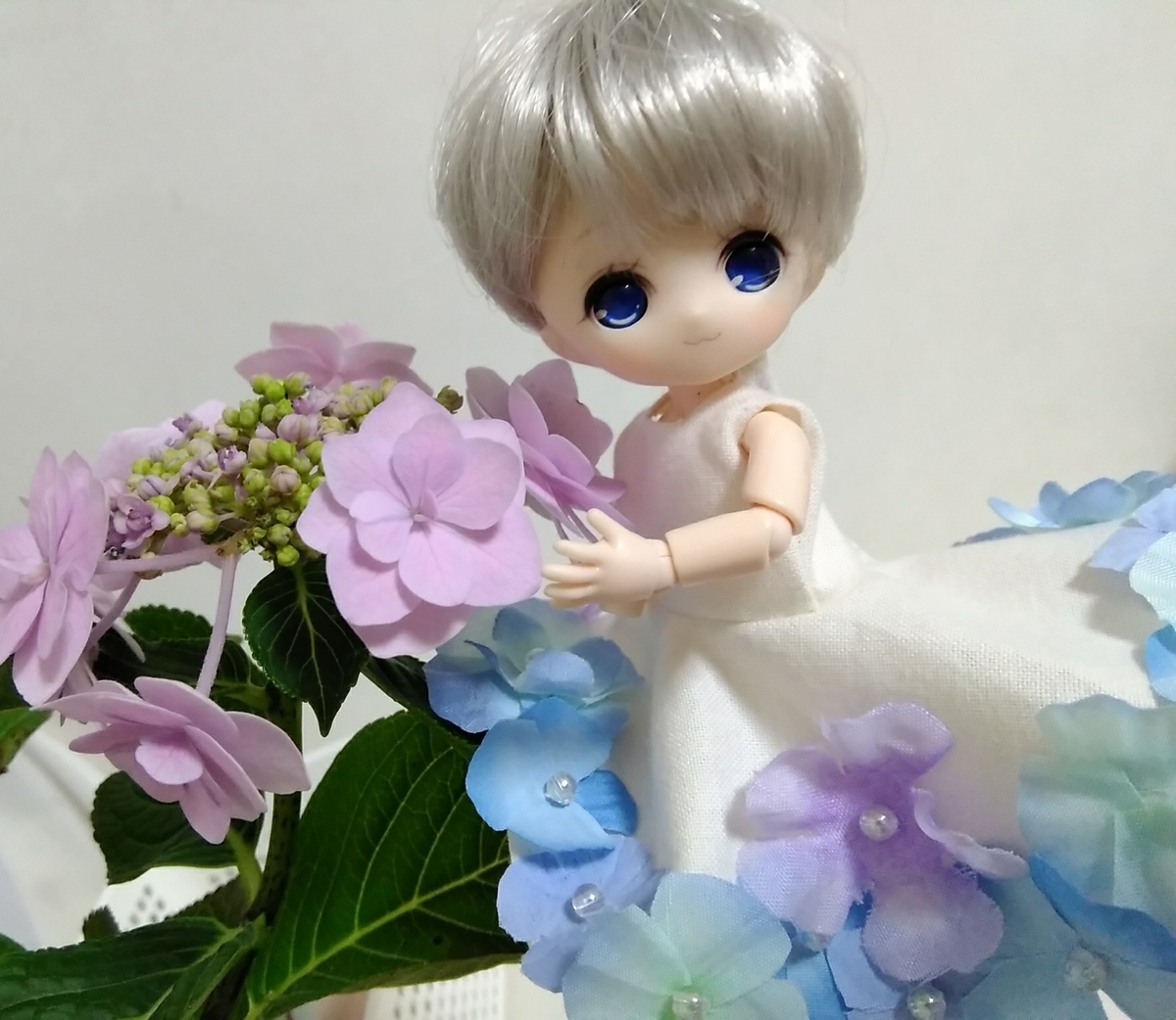 f:id:rikkachange:20190627205656j:plain f:id:rikkachange:20190627205656j:plain