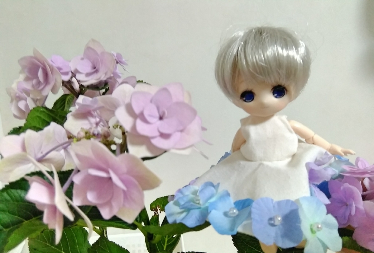 f:id:rikkachange:20190627205740j:plain f:id:rikkachange:20190627205740j:plain