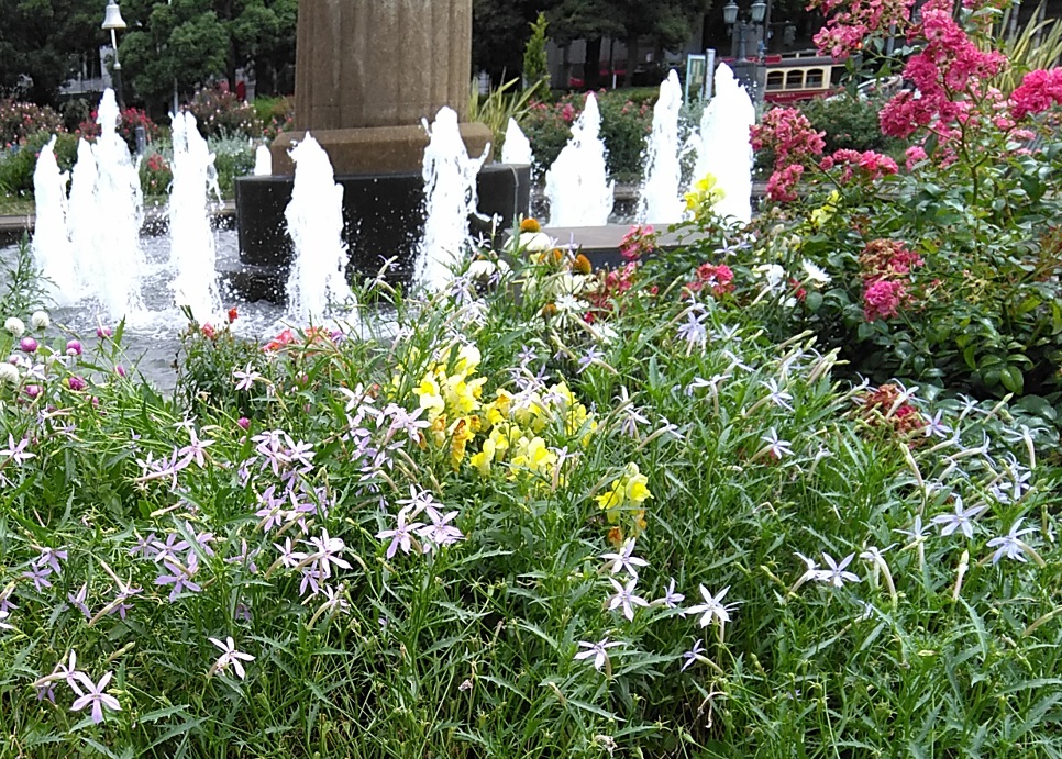 f:id:rikkachange:20190715222050j:plain f:id:rikkachange:20190715222050j:plain