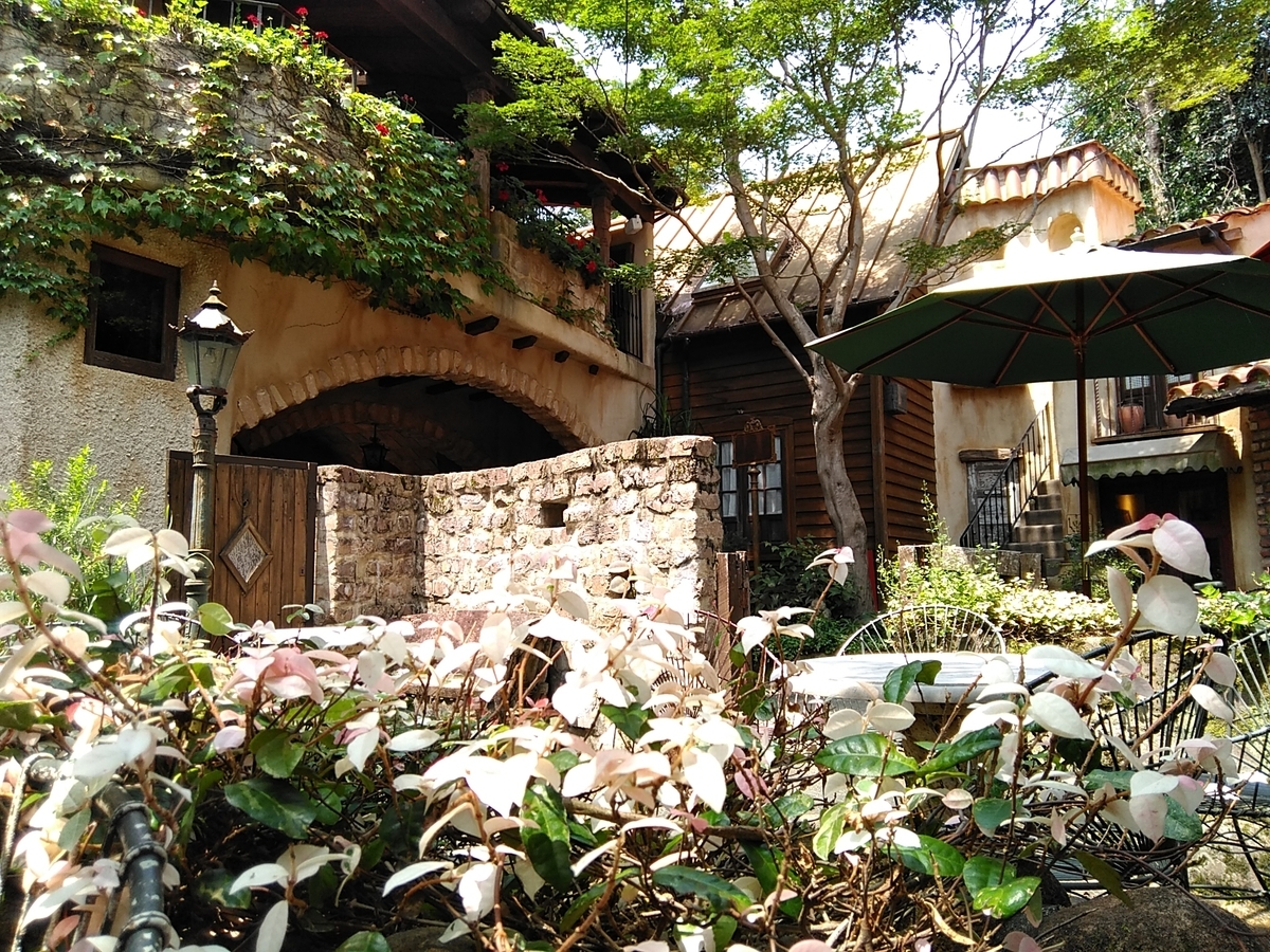 f:id:rikkachange:20190725091847j:plain