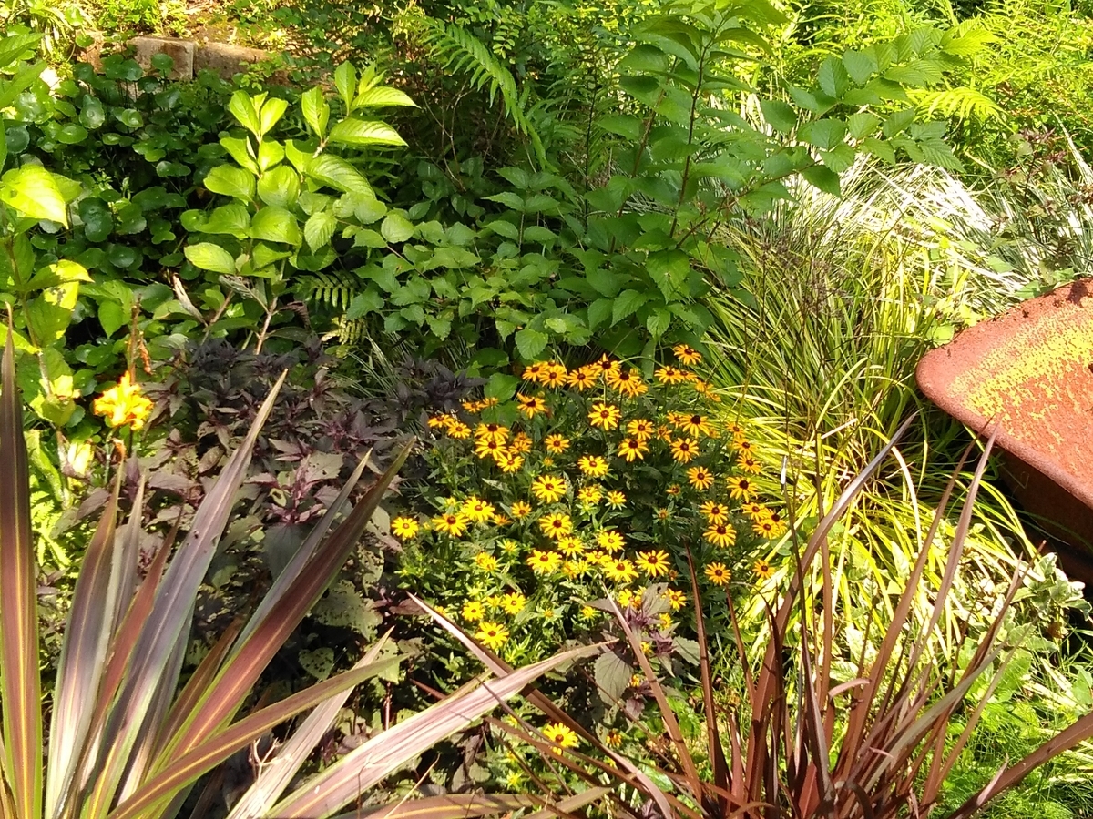 f:id:rikkachange:20190725093757j:plain