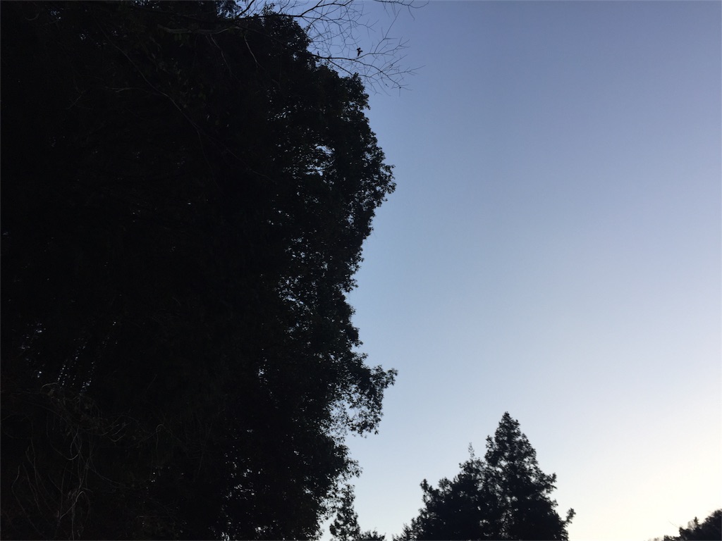 f:id:rikkei:20180311202819j:image f:id:rikkei:20180311202819j:image