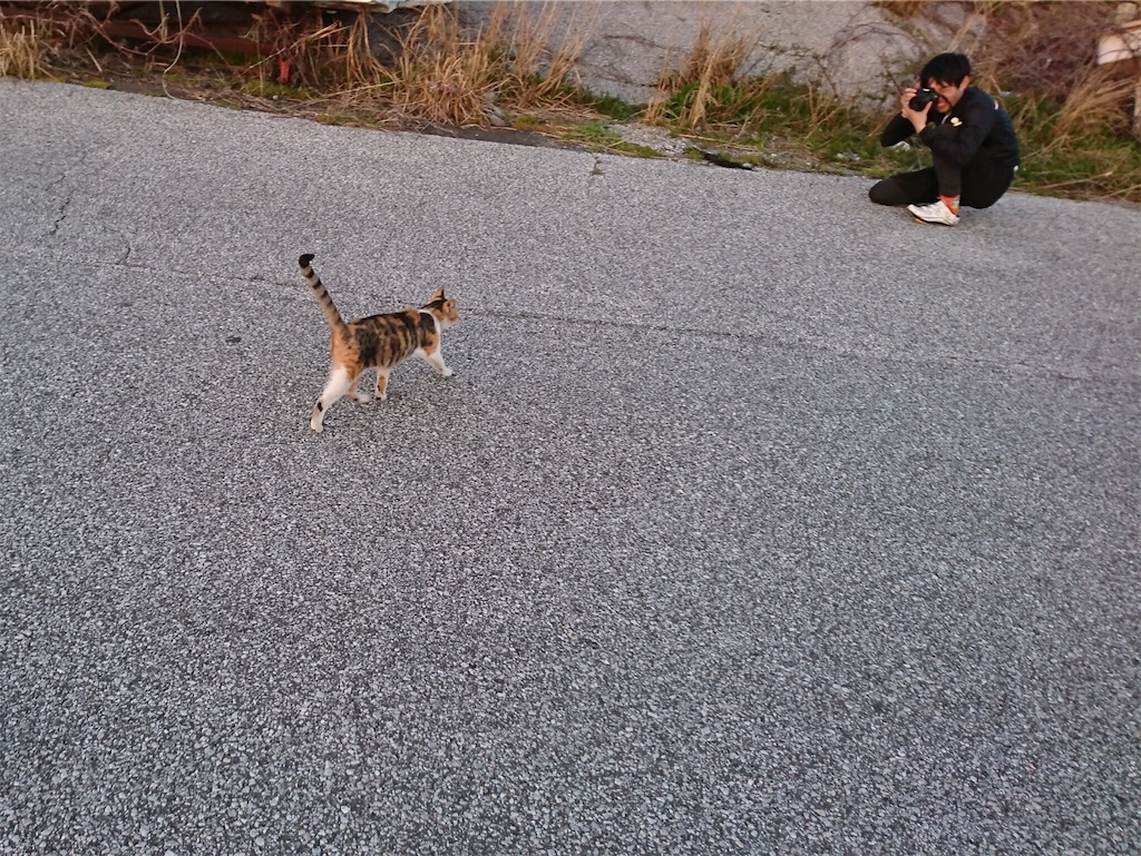 f:id:rikkei:20180316115619j:image f:id:rikkei:20180316115619j:image