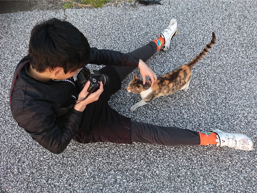 f:id:rikkei:20180316115635j:image f:id:rikkei:20180316115635j:image