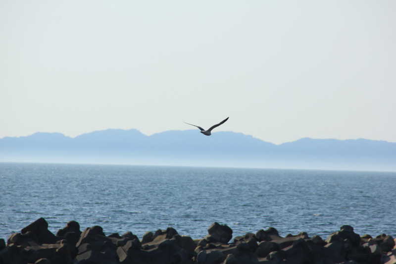 f:id:rikkei:20180716180128j:plain