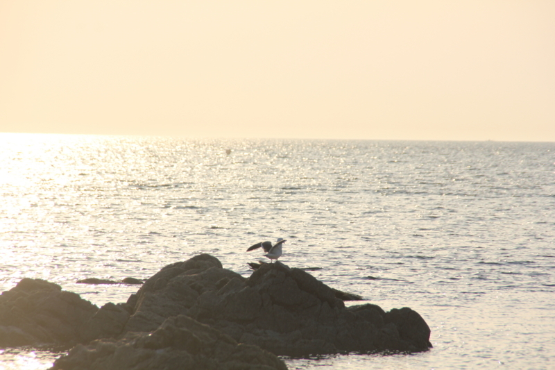 f:id:rikkei:20180716180130j:plain