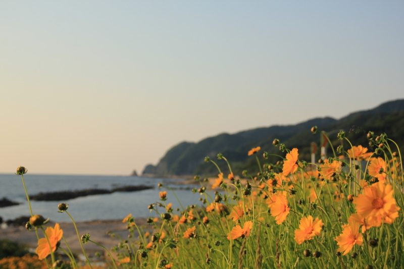 f:id:rikkei:20180716180131j:plain