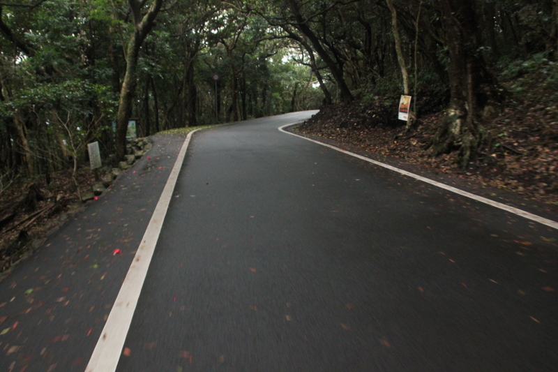 f:id:rikkei:20180729203704j:plain f:id:rikkei:20180729203704j:plain