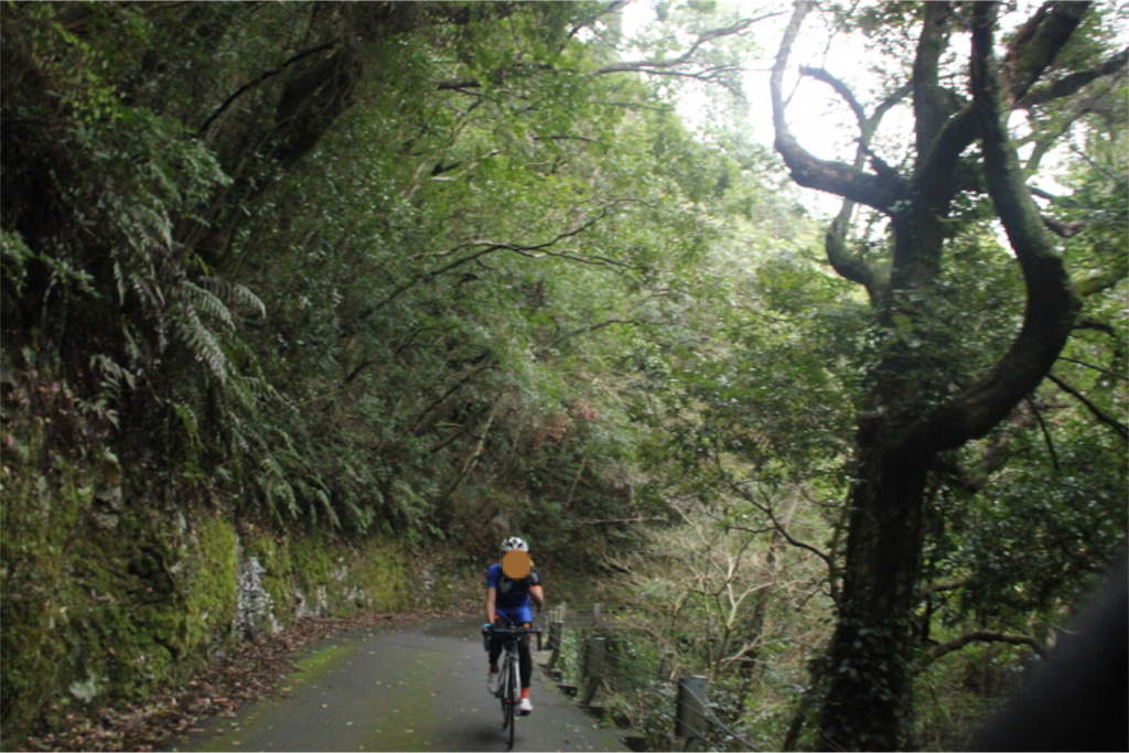 f:id:rikkei:20180729210446p:image f:id:rikkei:20180729210446p:image