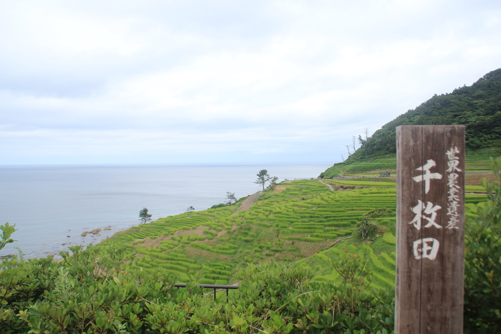 f:id:rikkei:20180906220646j:plain f:id:rikkei:20180906220646j:plain