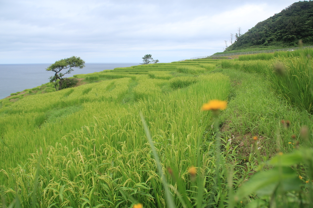 f:id:rikkei:20180906220653j:plain f:id:rikkei:20180906220653j:plain