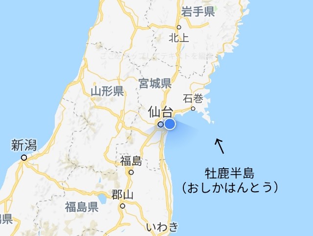 f:id:rikkei:20181111115052j:image