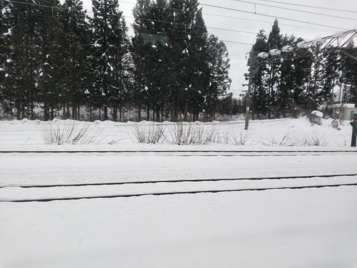 f:id:rikkyouseidan:20191212105924j:plain