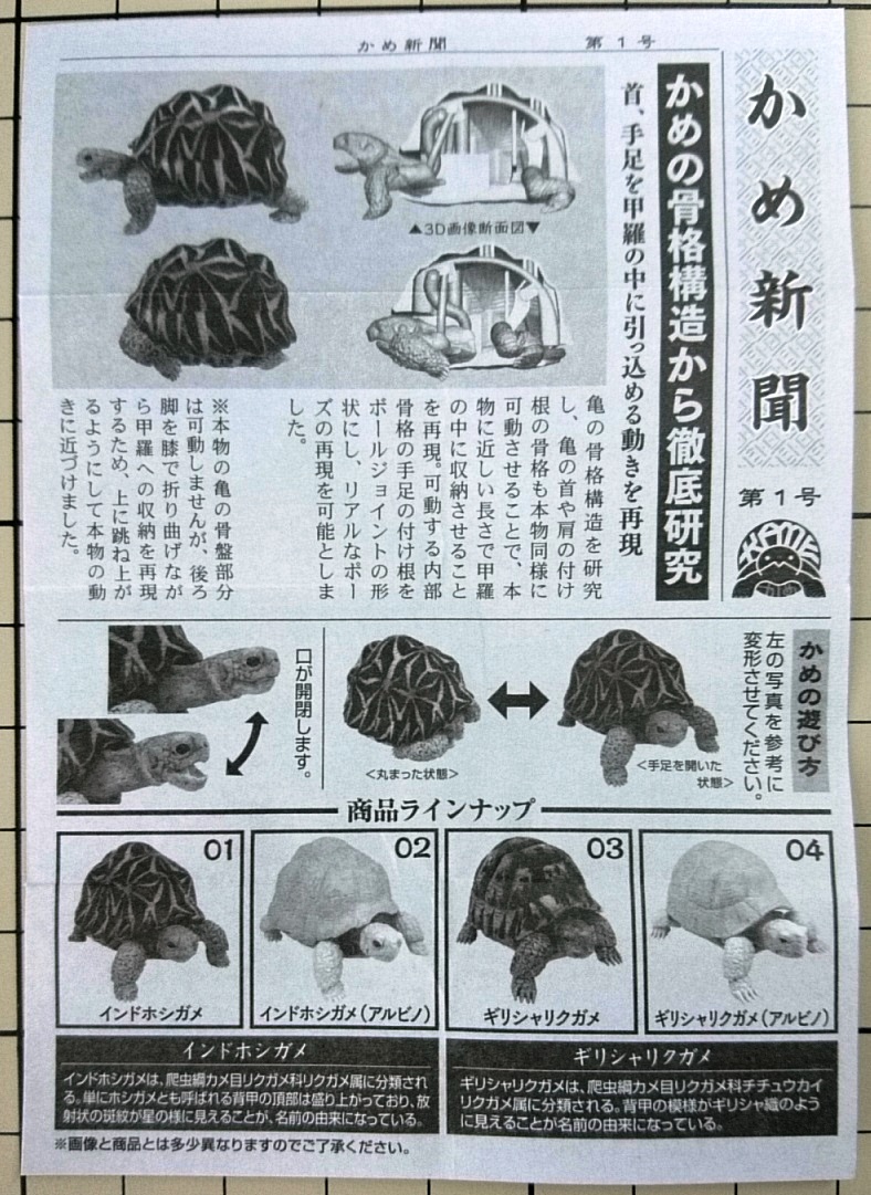 ガチャ かめ レビュー リッキーのこだわり