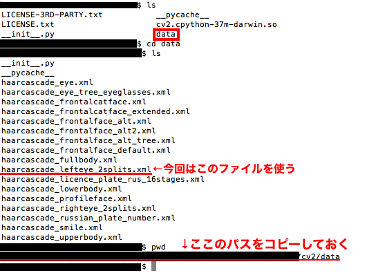 f:id:rikoubou:20181127174235p:plain