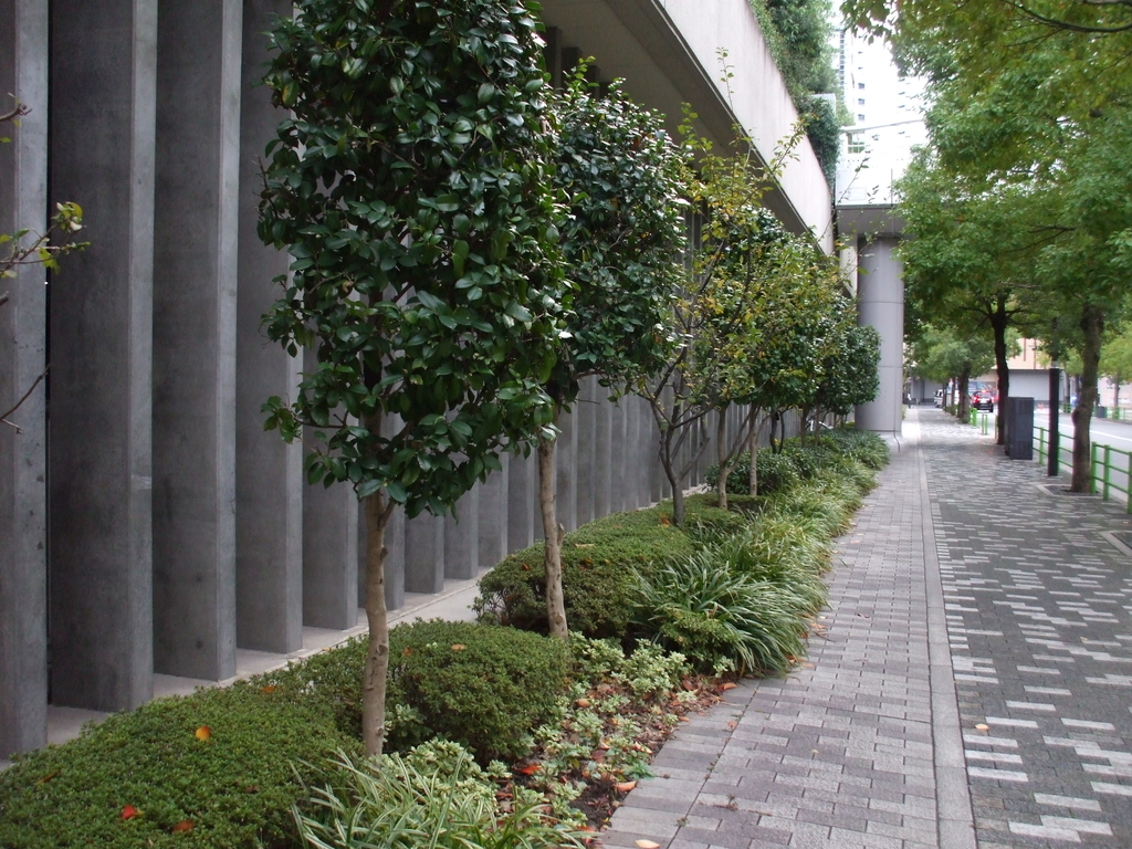 f:id:rikoubou:20190403162904j:plain f:id:rikoubou:20190403162904j:plain