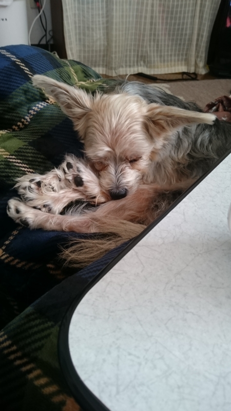 f:id:riku-mama:20161112141425j:image:w360