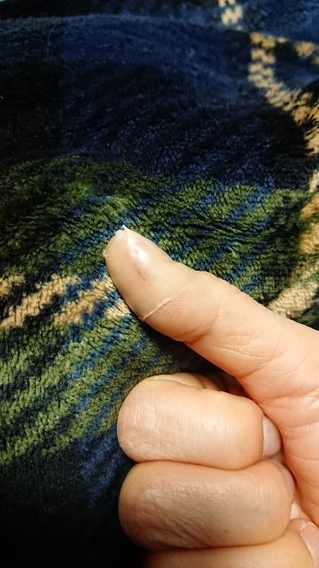 f:id:riku-mama:20190116215449j:plain