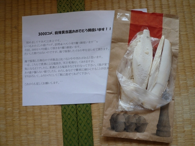 宝の前にまず一杯!