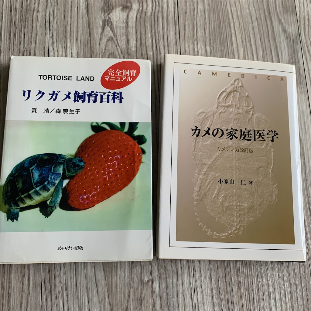 f:id:riku-nati:20200309082517j:image