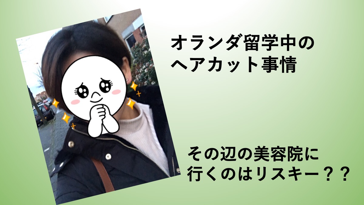 f:id:riku_netherlands:20191114183442j:plain