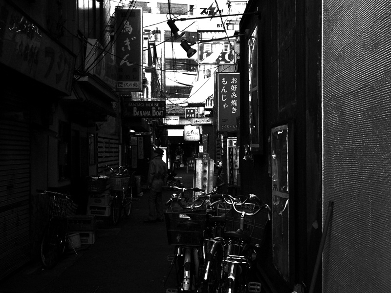 f:id:rikueri:20101201150001j:image:w250