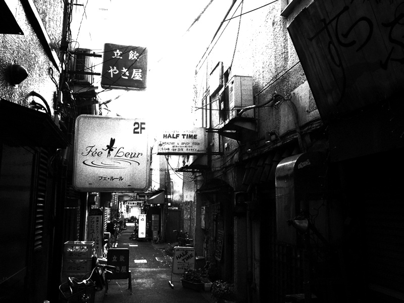 f:id:rikueri:20101201150346j:image:w250