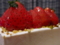 20120306204158