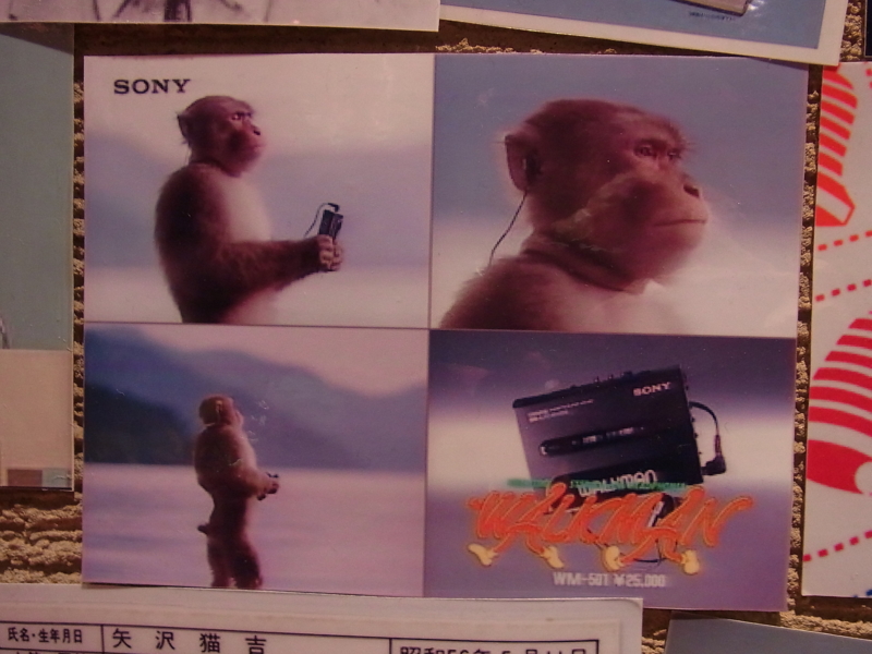 f:id:rikueri:20120607210859j:image:w420:left