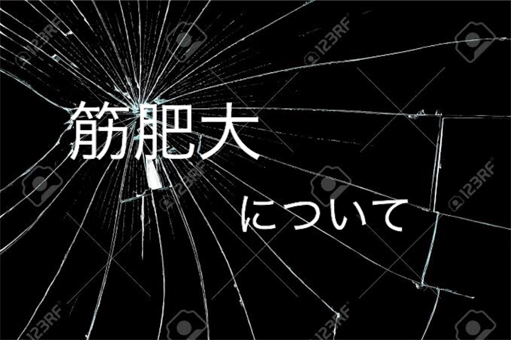 f:id:rikuhand3625:20190224231759j:image