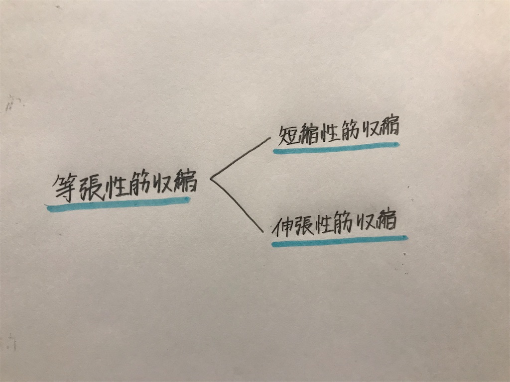 f:id:rikuhand3625:20190302231406j:image