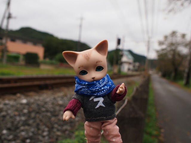 f:id:rikuomofu2:20171018223443j:image