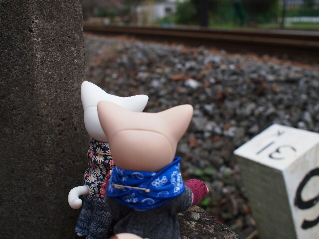 f:id:rikuomofu2:20171018223502j:image