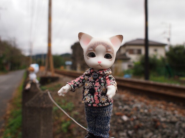 f:id:rikuomofu2:20171018223542j:image