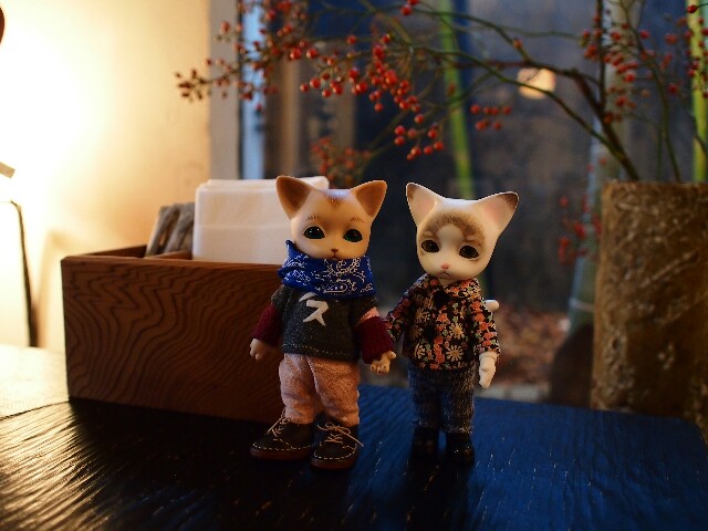 f:id:rikuomofu2:20171018225330j:image