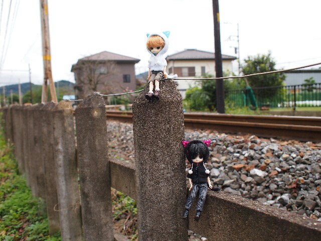 f:id:rikuomofu2:20171018230451j:image