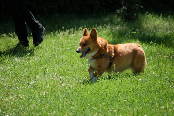 f:id:rikuzen:20080506140342j:image